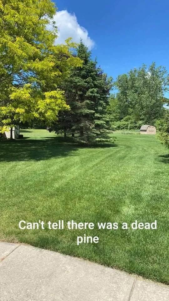 Local landscape design for year-round maintenance across Highland, MI - Lambert's Landscaping & Tree Removal