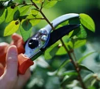 Trusted lawn care service near you in Matawan, NJ by Lambertson's Landscaping