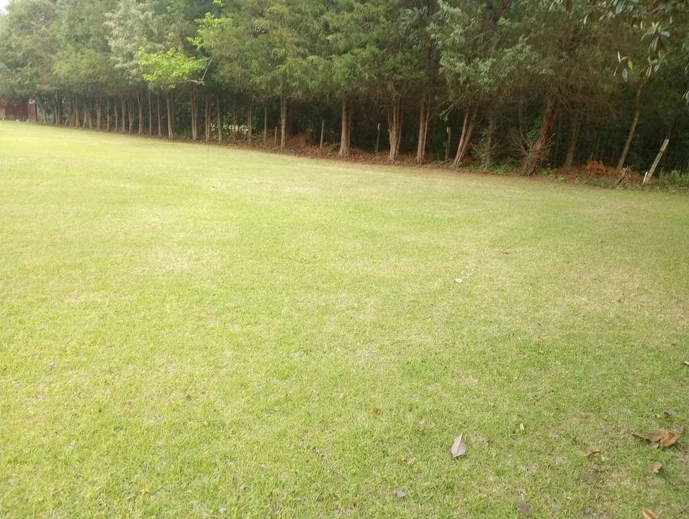 Top-rated landscaping services experts serving Holly Hill, SC - Lambrights Lawn Care And Maintenance