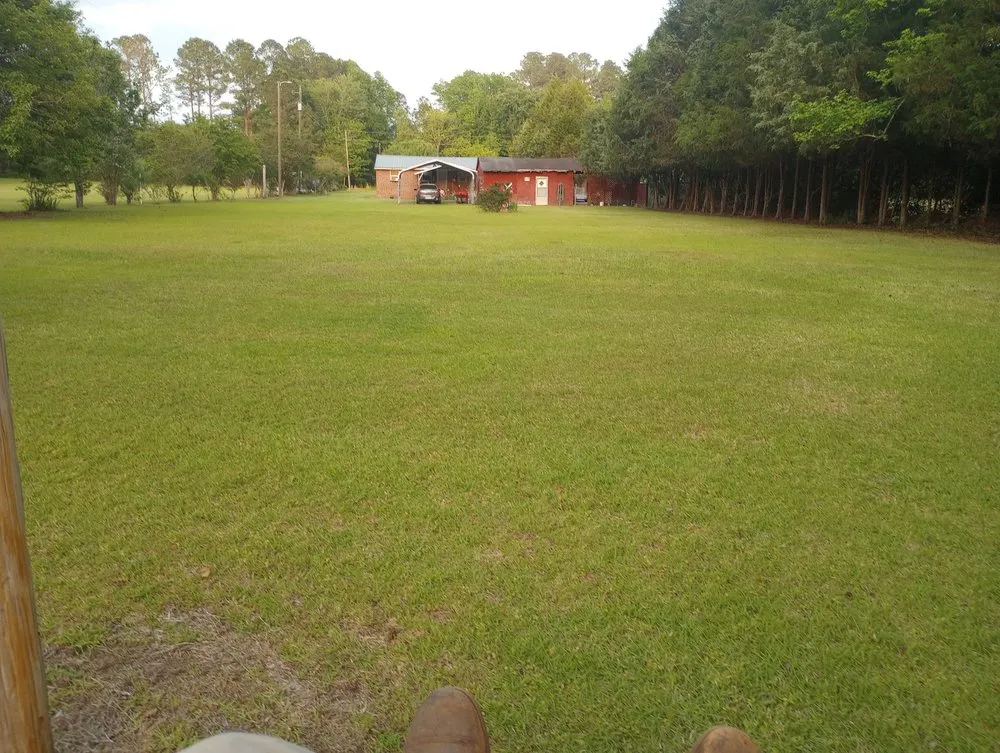 Reliable yard cleanup service in Holly Hill, SC by Lambrights Lawn Care And Maintenance