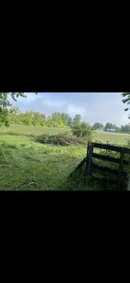 Lamb's Lawn Care & More