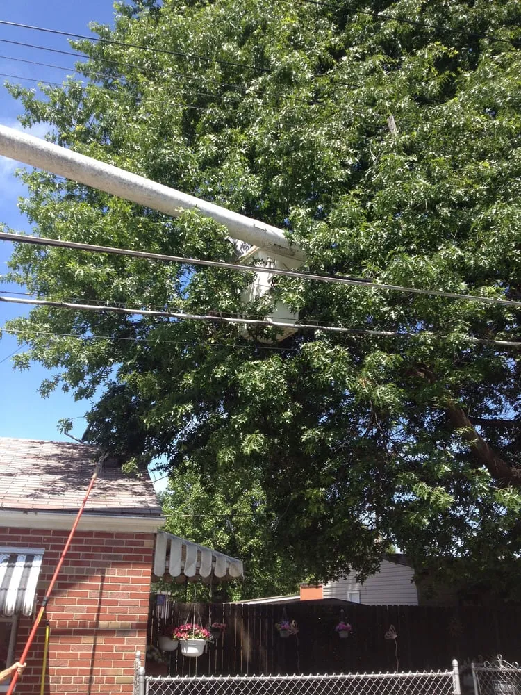 Reliable lawn mowing service experts serving Saint Louis, MO - Lambur Gary Landscaping & Tree Service