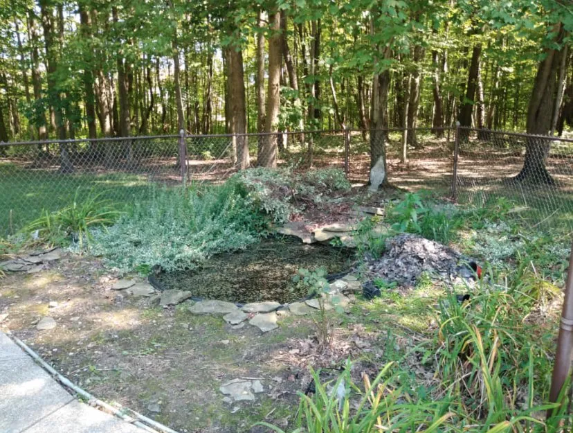 Professional yard maintenance experts serving Mantua, OH - Lamendola Landscapes