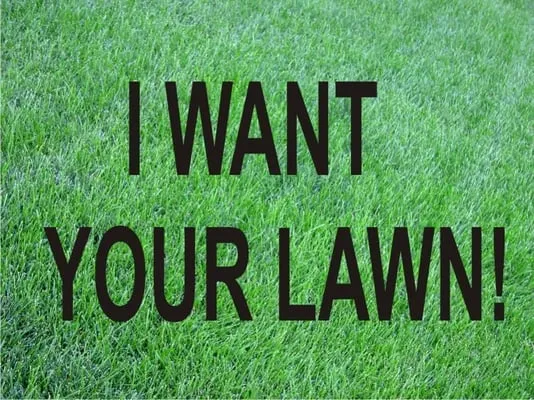 Lamke Lawns Logo
