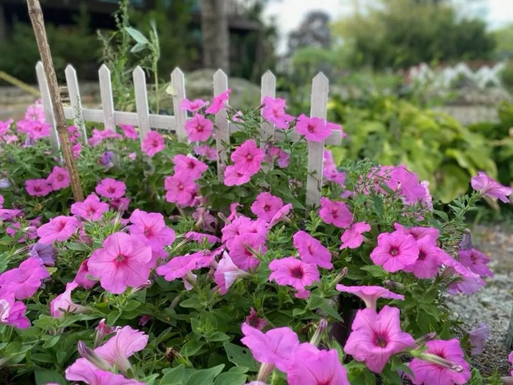 Custom garden landscaping experts serving Jackson, WI - Lammscapes