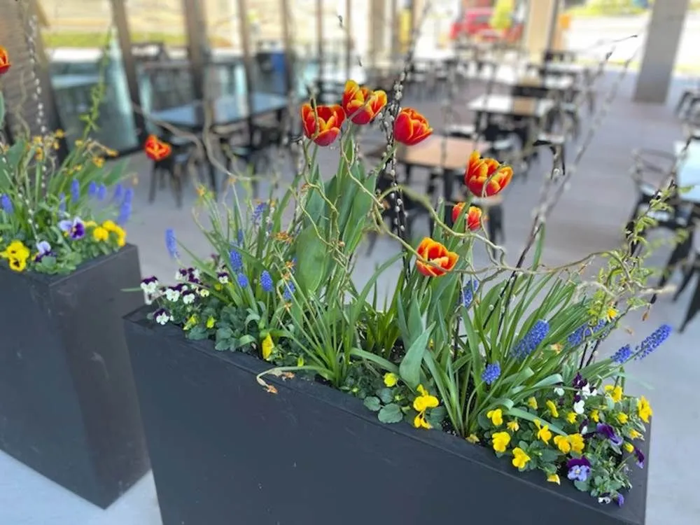 Custom landscaping services in Jackson, WI by Lammscapes