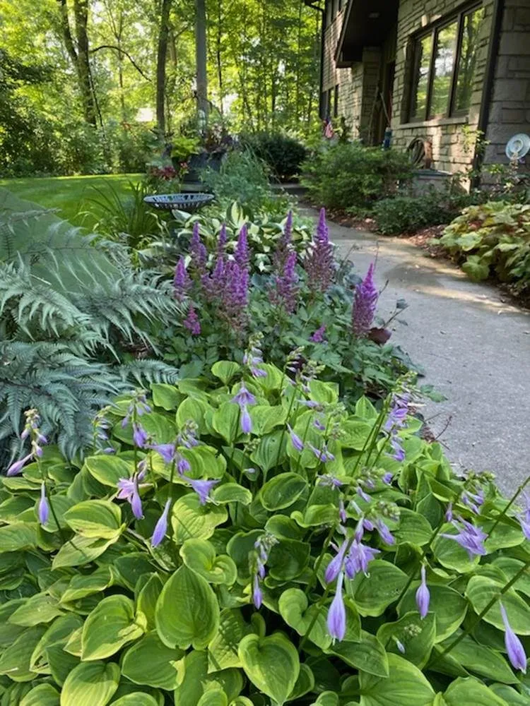 Local yard maintenance experts serving Jackson, WI - Lammscapes