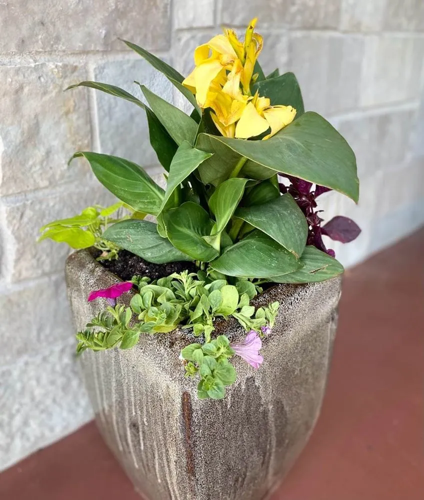 Local outdoor landscaping experts serving Jackson, WI - Lammscapes