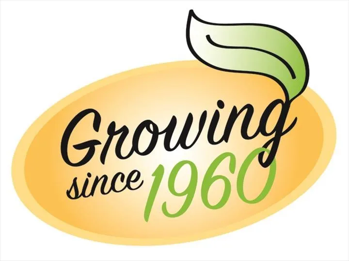 Top-rated yard cleanup service with custom design across Jackson, WI - Lammscapes