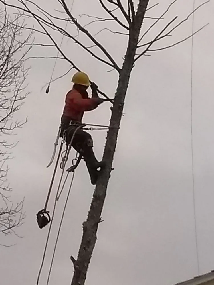 Expert outdoor landscaping in Dartmouth, MA by Lamontagne Landscaping and Tree Services