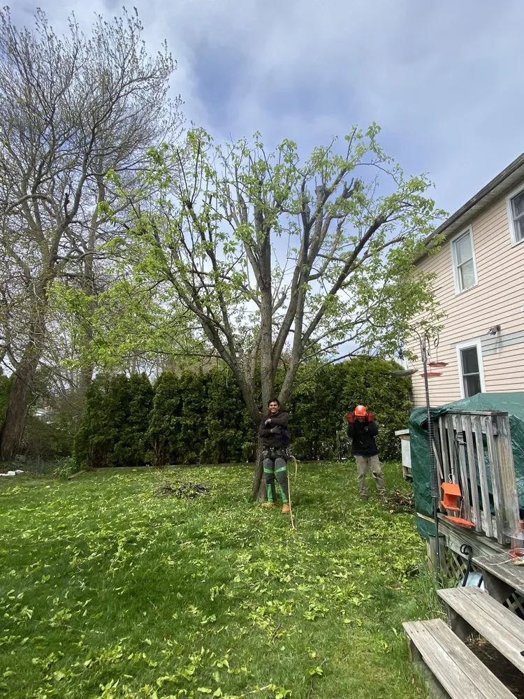Trusted outdoor landscaping for beautiful yards across Dartmouth, MA - Lamontagne Landscaping and Tree Services