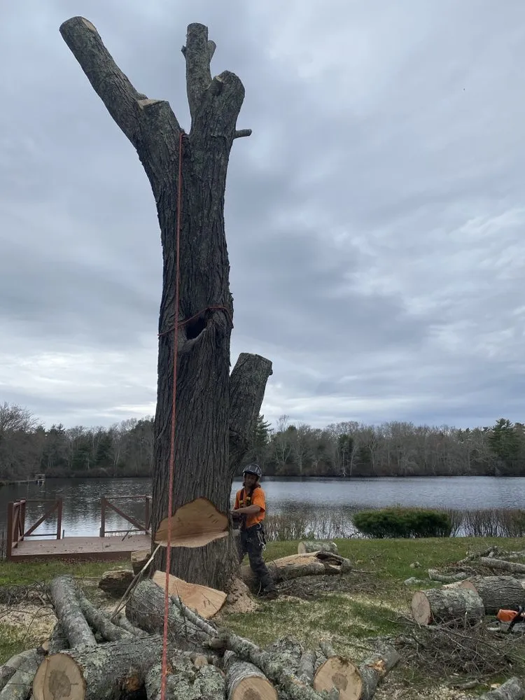 Local yard cleanup service for homes in Dartmouth, MA by Lamontagne Landscaping and Tree Services