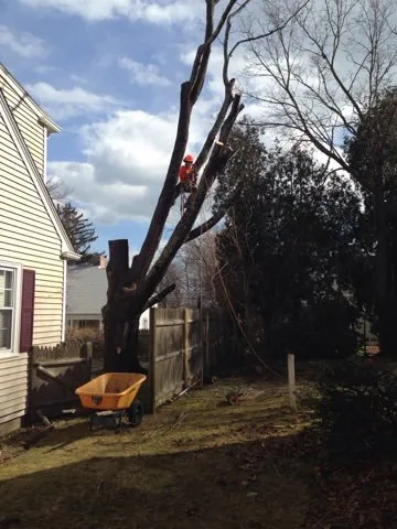 Reliable yard cleanup service with custom design in Dartmouth, MA by Lamontagne Landscaping and Tree Services