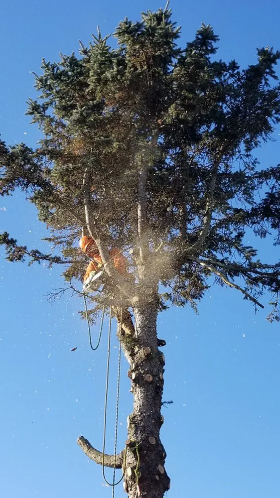 Top-rated lawn care service for residential properties across Dartmouth, MA - Lamontagne Landscaping and Tree Services