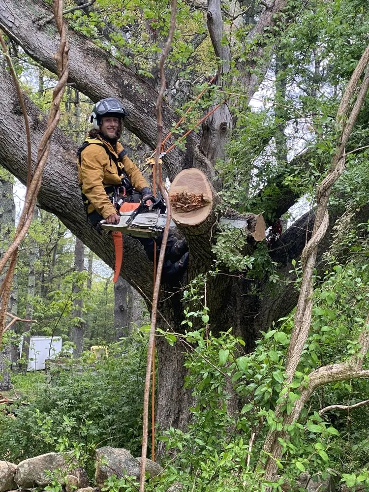 Top-rated lawn care service for beautiful yards in Dartmouth, MA by Lamontagne Landscaping and Tree Services