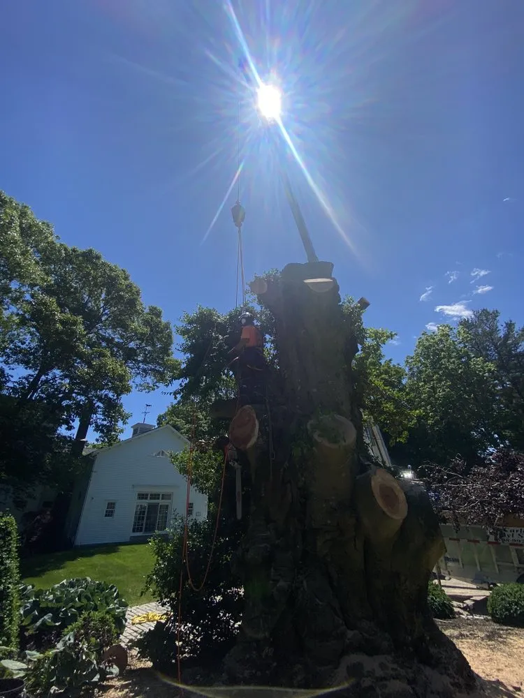 Reliable yard maintenance with custom design in Dartmouth, MA by Lamontagne Landscaping and Tree Services