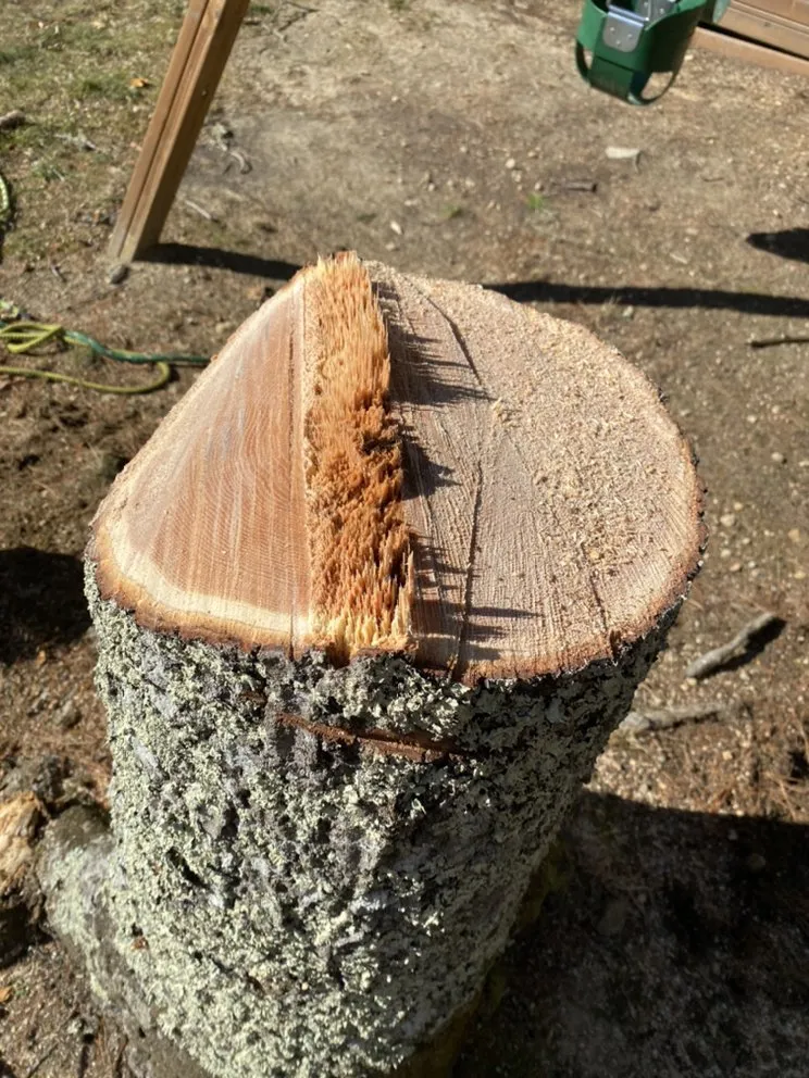 Local landscape design for homes across Dartmouth, MA - Lamontagne Landscaping and Tree Services