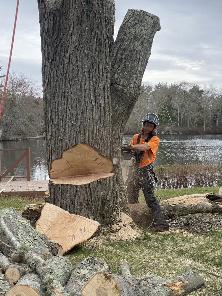 Trusted outdoor landscaping in Dartmouth, MA - Lamontagne Landscaping and Tree Services