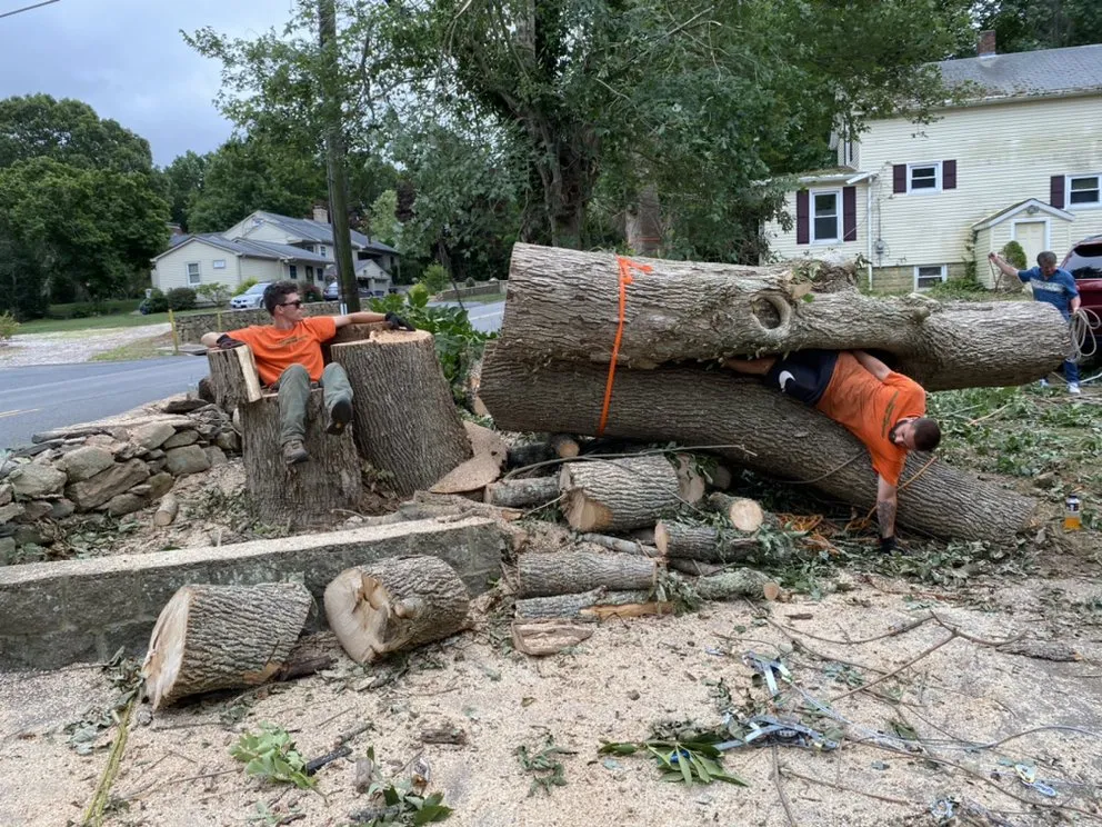 Top-rated yard maintenance in Dartmouth, MA - Lamontagne Landscaping and Tree Services