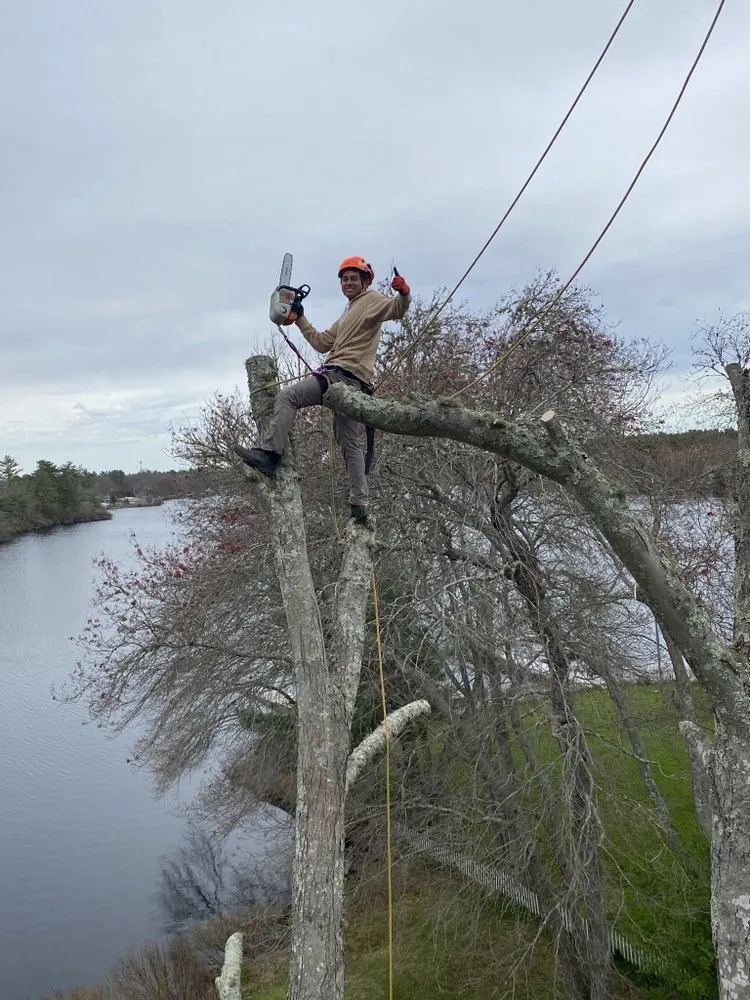 Local garden landscaping experts serving Dartmouth, MA - Lamontagne Landscaping and Tree Services