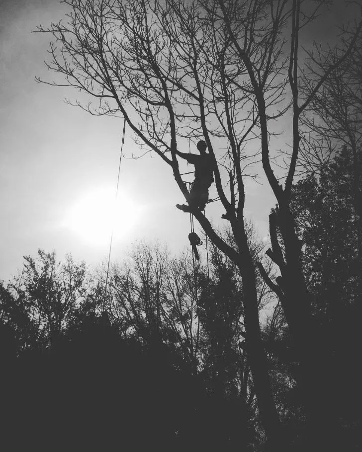 Professional outdoor landscaping for homes in Dartmouth, MA by Lamontagne Landscaping and Tree Services