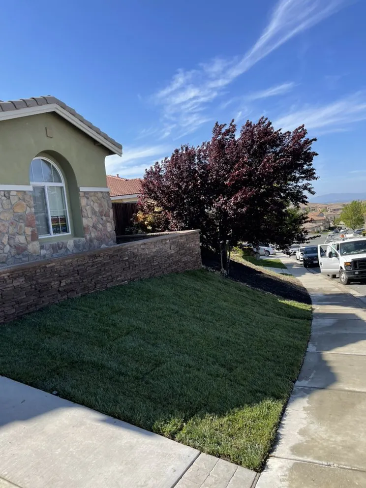 Trusted yard maintenance experts serving Lafayette, CA - Lamorinda Landscaping