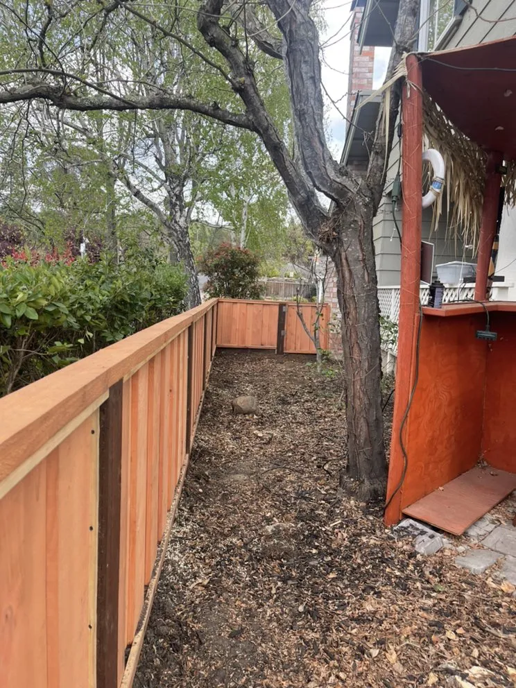 Professional landscape installation for residential properties across Lafayette, CA - Lamorinda Landscaping