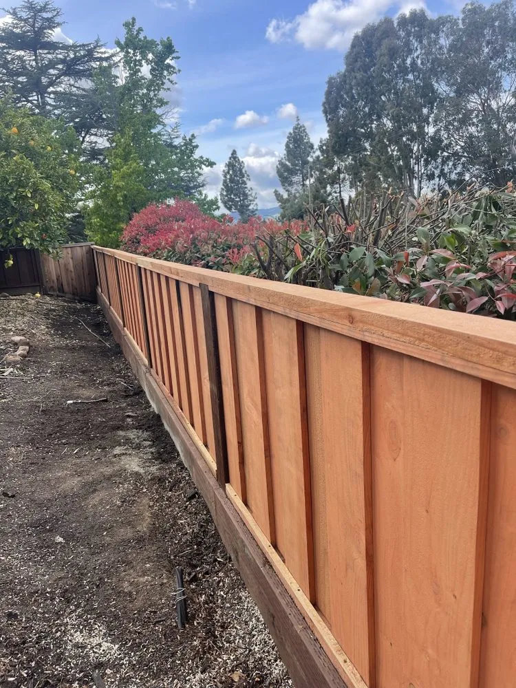 Custom lawn care service in Lafayette, CA - Lamorinda Landscaping