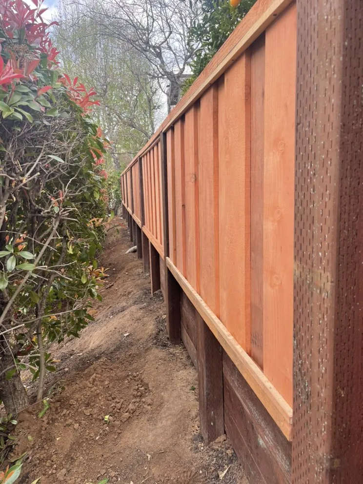 Affordable yard cleanup service in Lafayette, CA - Lamorinda Landscaping