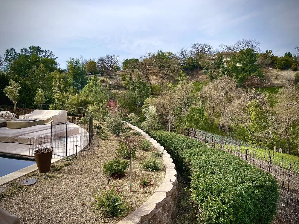 Custom yard maintenance for outdoor upgrades across Lafayette, CA - Lamorinda Landscaping