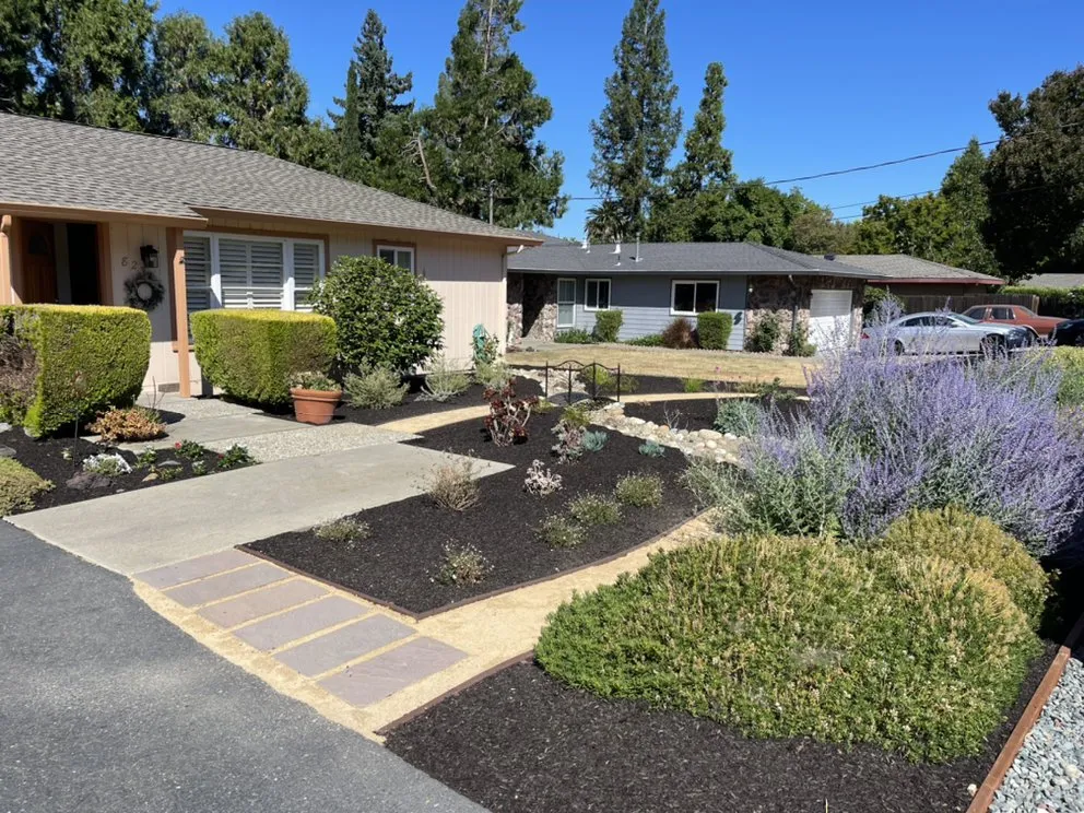 Reliable yard cleanup service experts serving Lafayette, CA - Lamorinda Landscaping