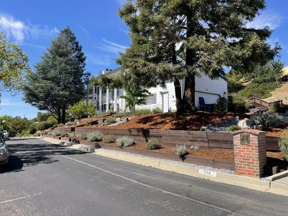 Professional landscape design in Lafayette, CA - Lamorinda Landscaping