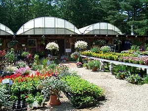 Top-rated yard cleanup service for outdoor upgrades in Brookfield, MA by Lamoureux Greenhouses