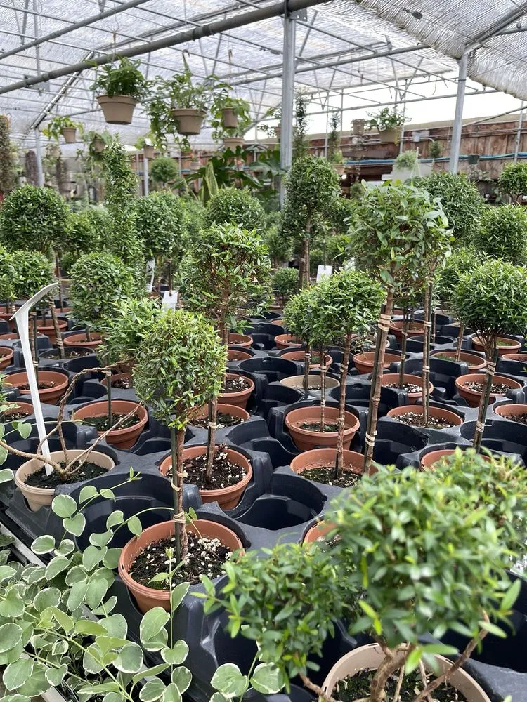 Reliable outdoor landscaping for residential properties across Brookfield, MA - Lamoureux Greenhouses