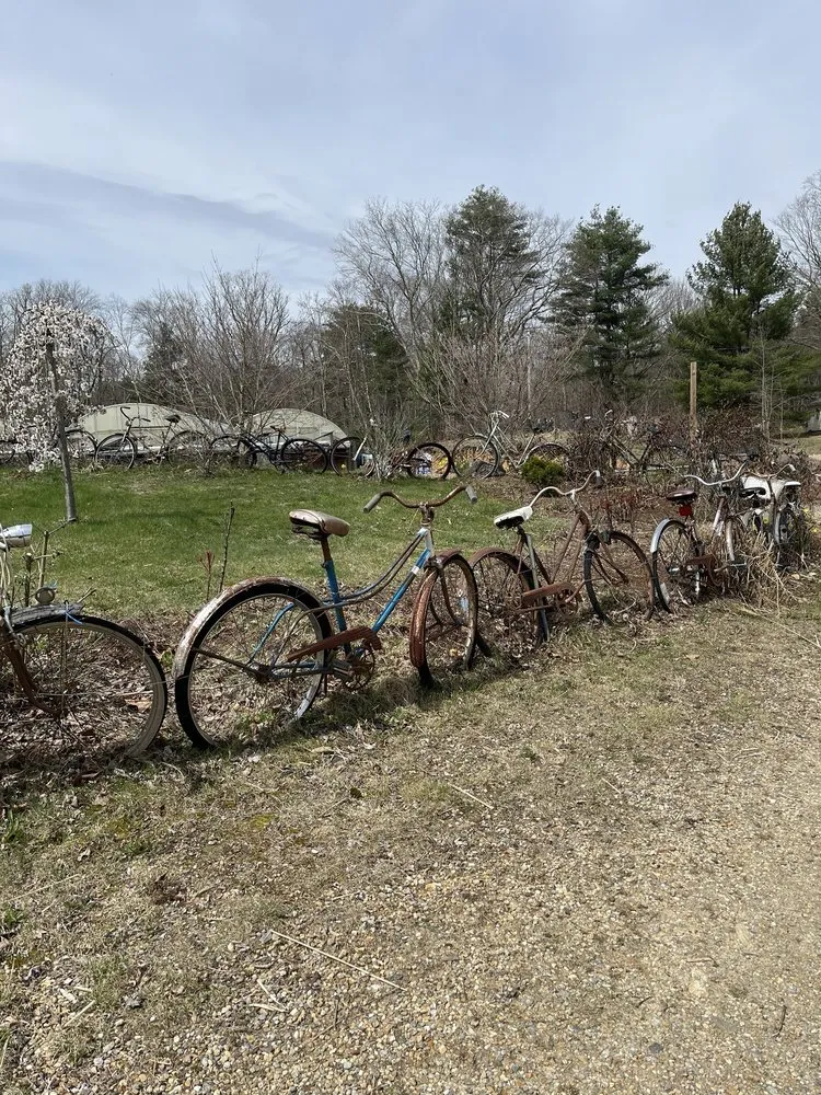 Top-rated yard maintenance near you across Brookfield, MA - Lamoureux Greenhouses