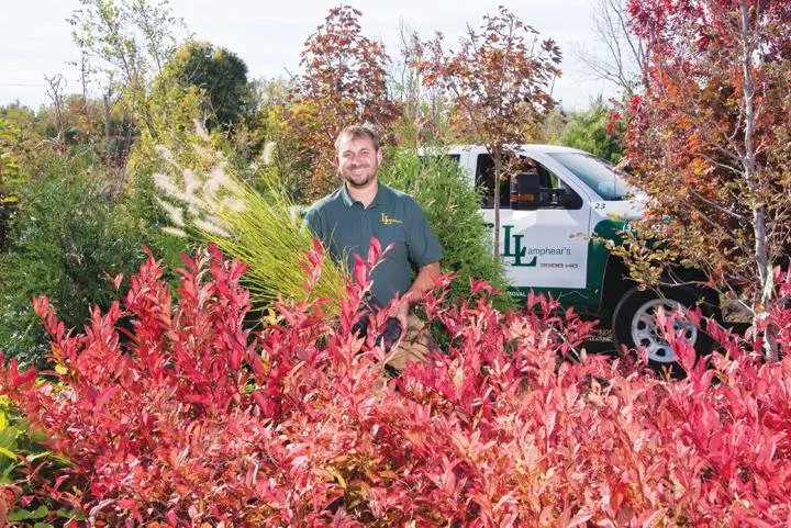 Expert landscape design experts serving Medina, OH - Lamphear's Lawn Service