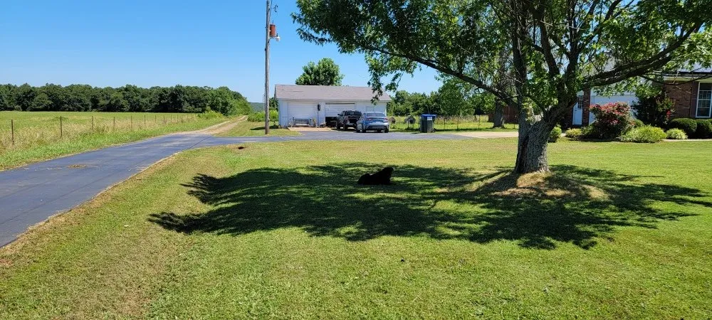 Professional landscape design in Cave City, AR by Lampton Lawncare