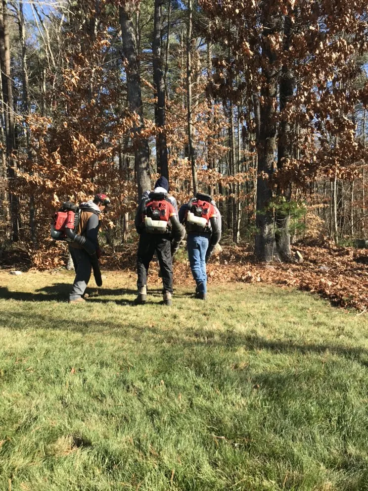 Trusted lawn care service in Weymouth, MA - Lana Landscape