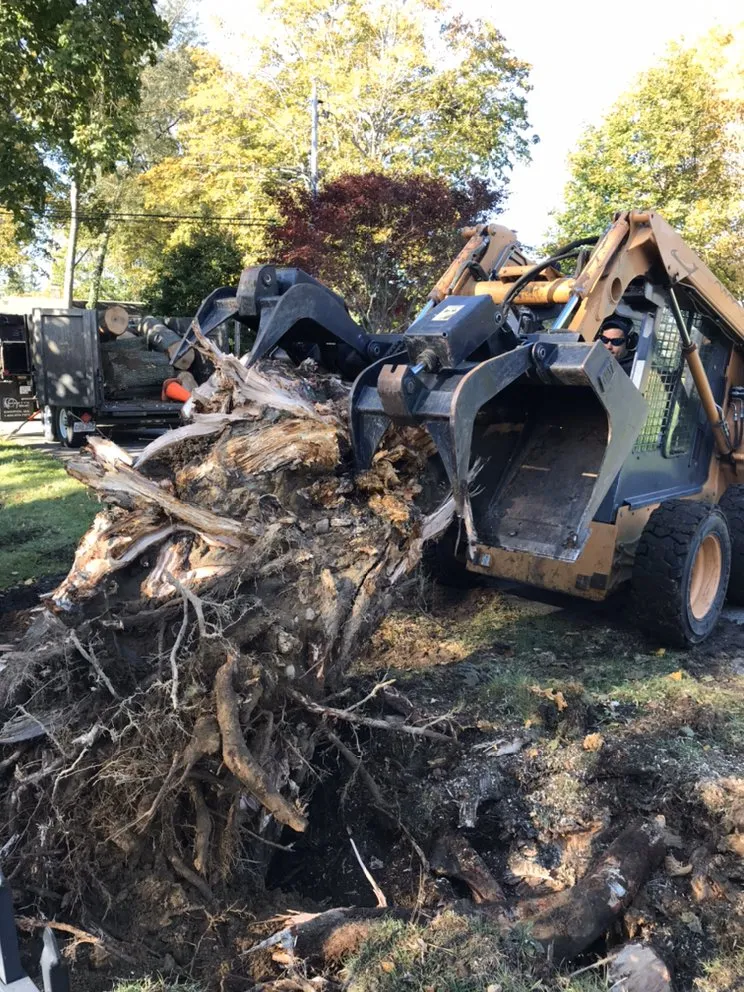 Affordable lawn mowing service experts serving Weymouth, MA - Lana Landscape