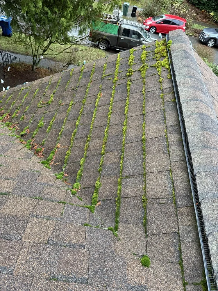 Custom lawn mowing service in Kirkland, WA - Lana Landscaping