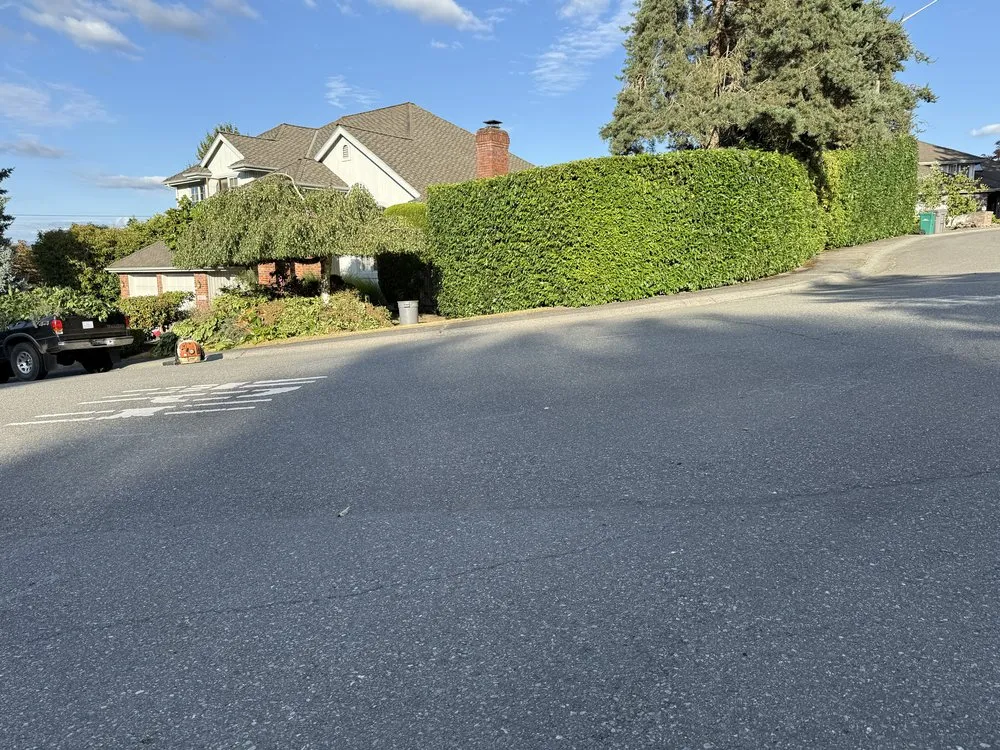 Custom residential landscaping for residential properties in Kirkland, WA by Lana Landscaping