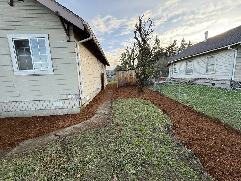 Custom yard maintenance experts serving Kirkland, WA - Lana Landscaping