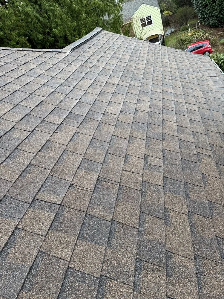 Reliable lawn care service experts serving Kirkland, WA - Lana Landscaping