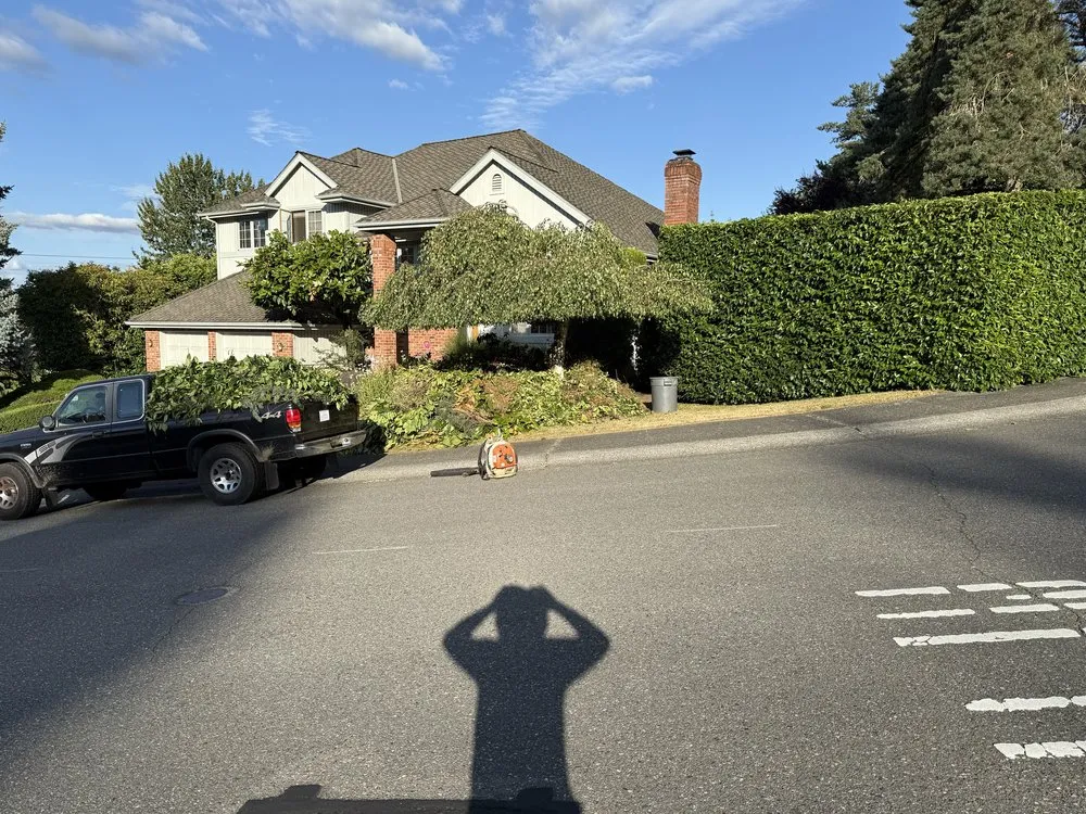 Expert landscape design experts serving Kirkland, WA - Lana Landscaping