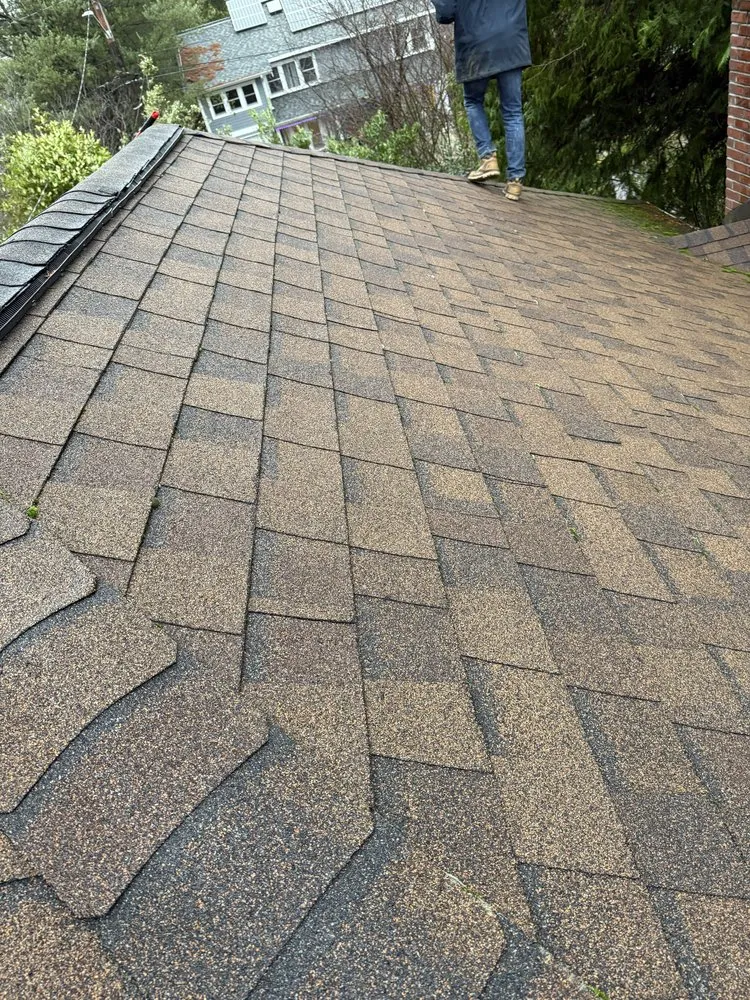 Trusted lawn care service for residential properties in Kirkland, WA by Lana Landscaping