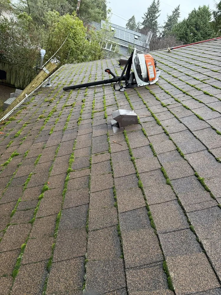 Affordable landscape installation in Kirkland, WA by Lana Landscaping