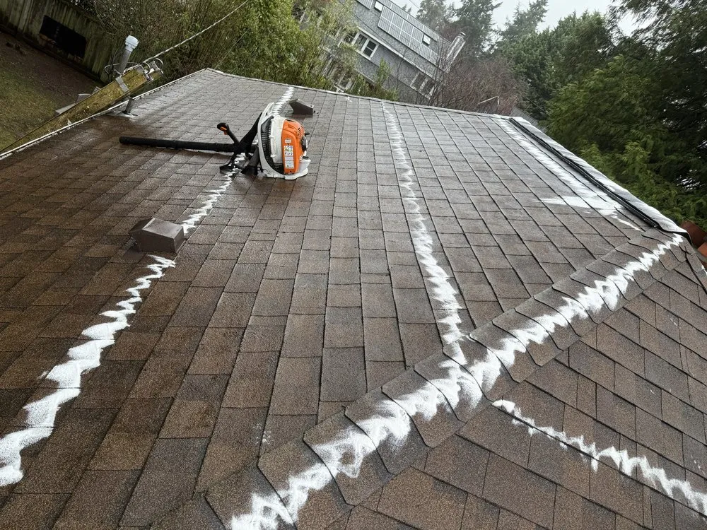 Affordable yard maintenance for outdoor upgrades in Kirkland, WA by Lana Landscaping