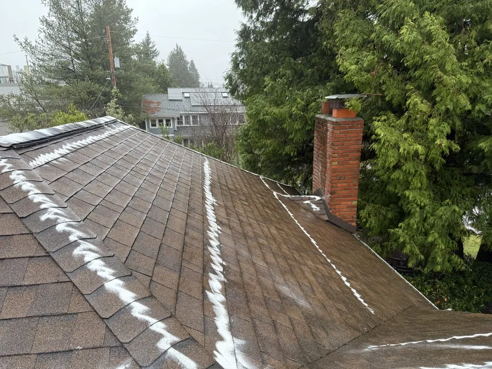 Professional garden landscaping in Kirkland, WA by Lana Landscaping