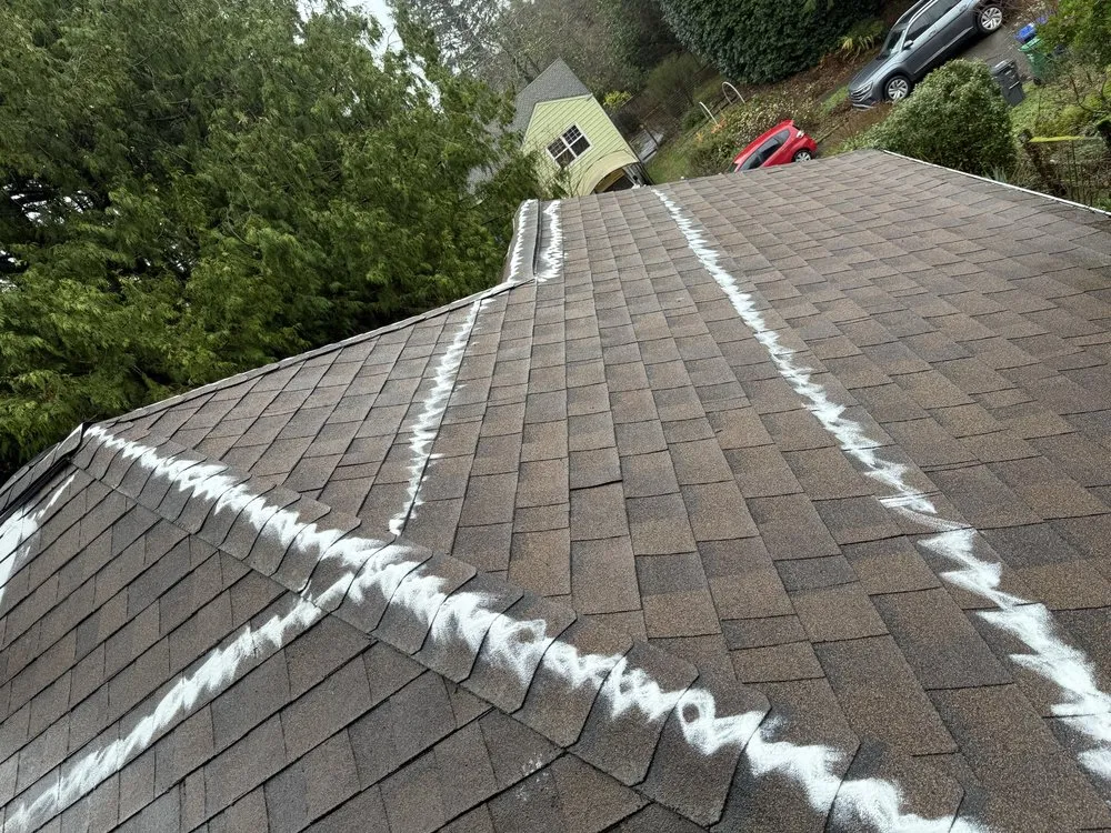 Custom outdoor landscaping in Kirkland, WA - Lana Landscaping