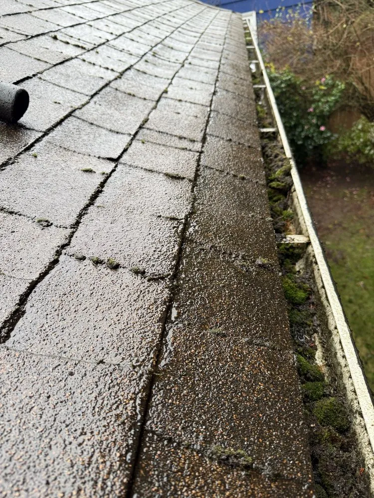 Expert outdoor landscaping for residential properties across Kirkland, WA - Lana Landscaping